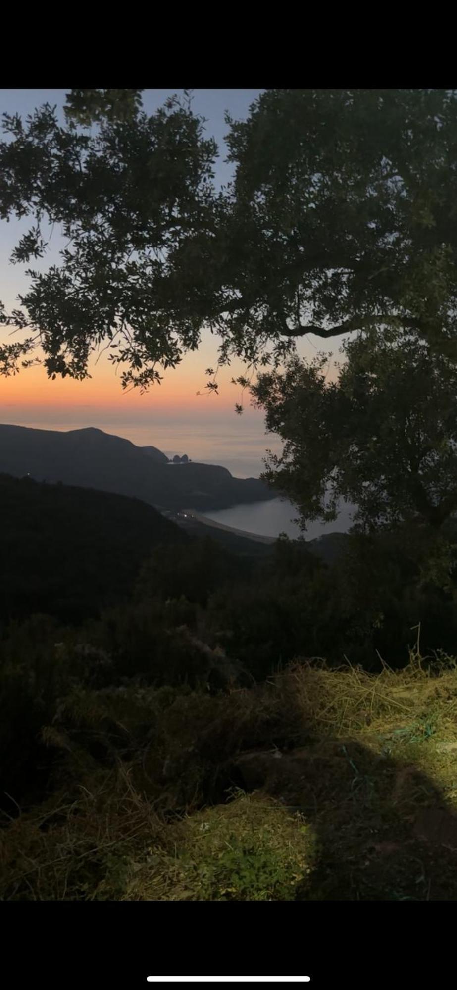 Duplex T3 Bien Situe Daire Annaba Dış mekan fotoğraf